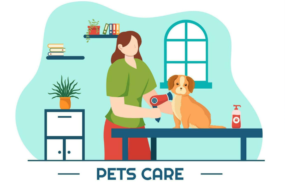 Online Pet Care Service
